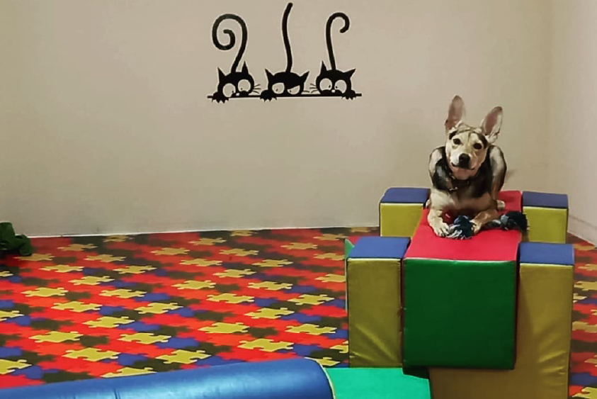 Entrenamiento al aire libre